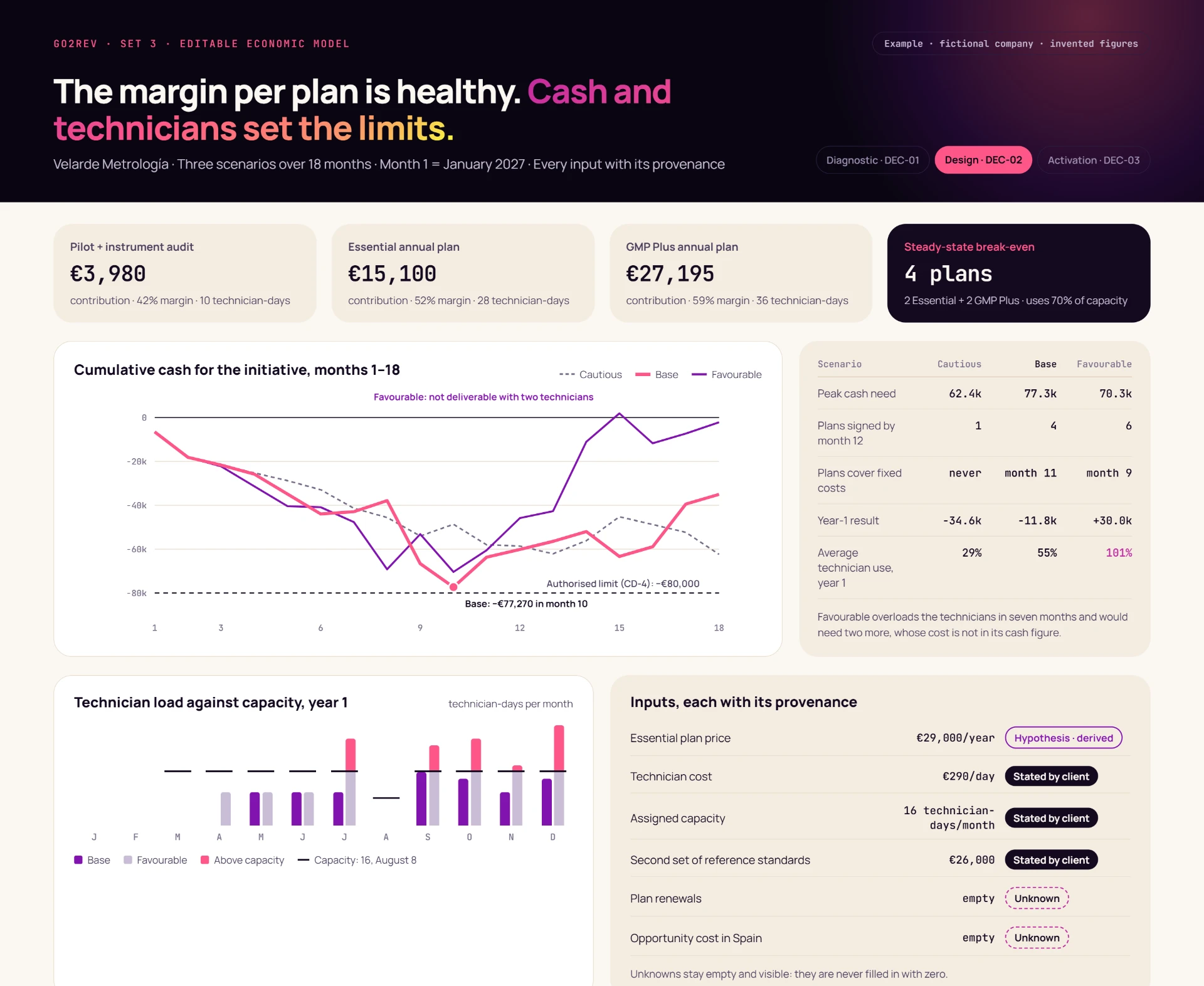 Editable economic model — Example · anonymised company
